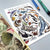 Alexia Claire Marine Wildlife of Britain | Postcard
