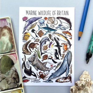 Alexia Claire Marine Wildlife of Britain | Postcard