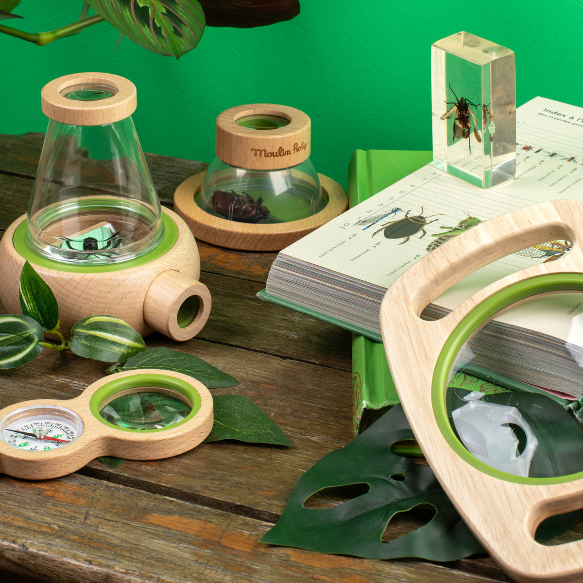 Moulin Roty Large Observation Box – Conscious Craft