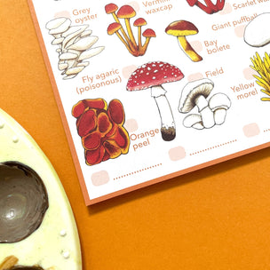 Alexia Claire Mushrooms Wildlife Spotting Notepad