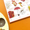Alexia Claire Mushrooms Wildlife Spotting Notepad