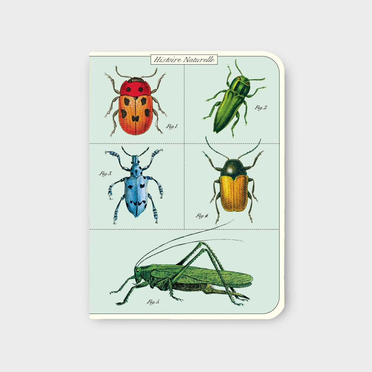 Cavallini Bugs & Insect Mini Notebook Set | Conscious Craft
