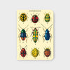 Cavallini Bugs & Insect Mini Notebook Set | Conscious Craft