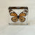 Common Tiger Butterfly | Conscious Craft