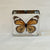 Common Tiger Butterfly | Conscious Craft