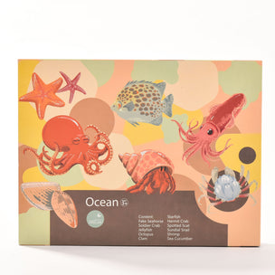 Ocean Life Specimen Set | Conscious Craft