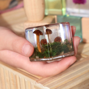Our Earth Life | Mushroom and Moss Specimen Cube