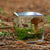Our Earth Life | Mushroom and Moss Specimen Cube