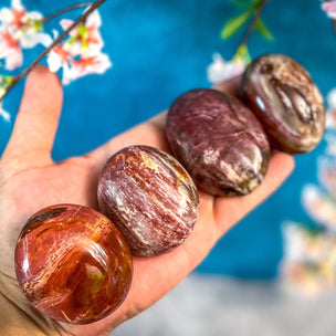 Mandala Gems Petrified Wood Palmstone | Conscious Craft