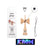 Kendama POP LOL // White