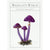 The Deck of Mushrooms | Conscious Craft