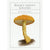 The Deck of Mushrooms | Conscious Craft