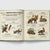 Encyclopaedia of Dinosaurs | Conscious craft