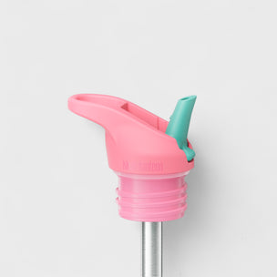 Pink and green straw lid on a white background