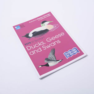 RSPB ID Spotlight: Ducks, Geese and Swans | Conscious Craft