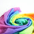 Laura's Play Cotton 145x145 | Rainbow