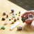 Science Museum | Fossil & Mineral Kit