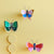 Gold Rim Butterfly