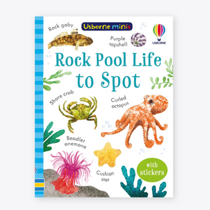 Rock Pool Life to Spot | Usborne Minis | Conscious Craft