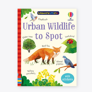 Urban Wildlife to Spot | Usborne Minis | Conscious Craft