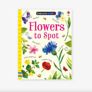 Flowers to Spot Usborne Minis | Conscious Craft