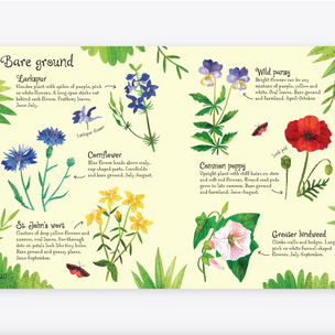 Flowers to Spot Usborne Minis | Conscious Craft