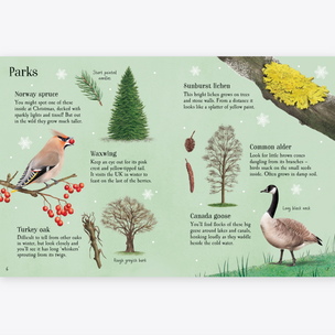 Educational page about parks with illustrations of a bird, tree, and goose on a green background.