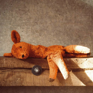 senger deer on wooden ledge 