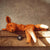 senger deer on wooden ledge 