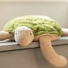 Turtle Small | Fir Green