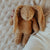 Moonie Sensory Bunny | Cappuccino