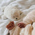 Moonie Organic Humming Seal | Polar