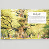 Step Inside a Fairytale- Illustrated book page with a fairy tale scene featuring a treehouse and characters in a forest setting.