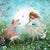 Bijdehansje Postcard Springtime Celebration