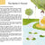 Illustrated book page with a scene of a person sitting under a tree by a stream, surrounded by trees and flowers.