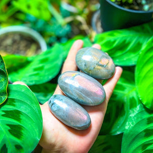 Mandala Gems Sunset Labradorite Palmstone | Conscious Craft