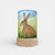 Lantern shade with rabbit design on a white background