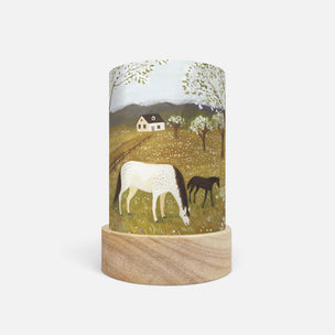 Robin Pieterse Lantern Shade Set 