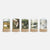 Robin Pieterse Lantern Shade Set 