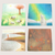 Four scenic images arranged in a grid on a white background.