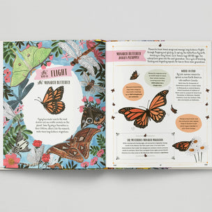 Open book with illustrations of butterflies and text on a gray background