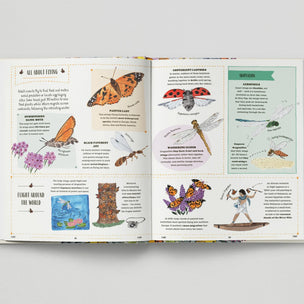 Open book with illustrations of butterflies and dragonflies on a gray background