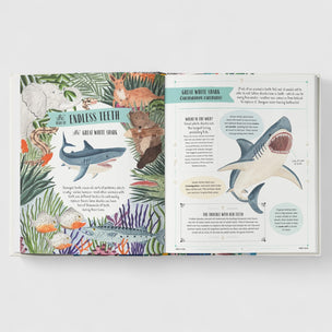 Wild: A Child's Guide to Incredible Animal Adaptations