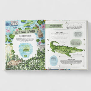 Wild: A Child's Guide to Incredible Animal Adaptations