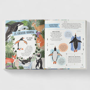 Wild: A Child's Guide to Incredible Animal Adaptations