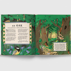 Open book showing illustrations of a forest scene with text about an oak tree.