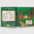 Open book showing illustrations of a forest scene with text about an oak tree.