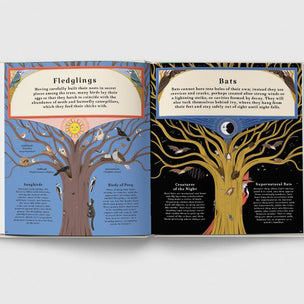 Open book with illustrations and text about different types of bats