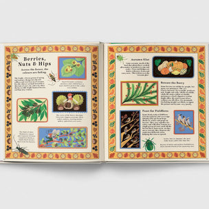 Open book with colorful illustrations and text on a white background