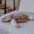 rose turtle 